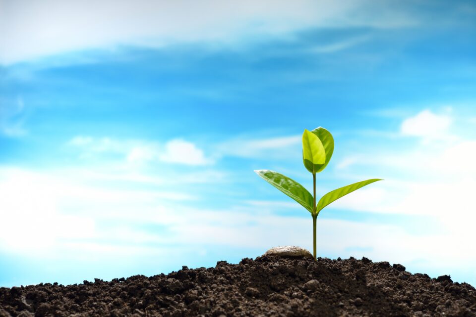 なぜ、患者が増えるのか？